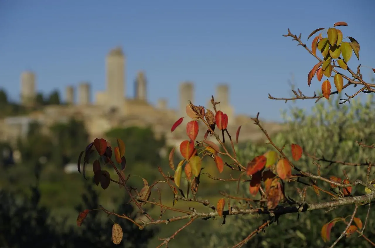 Il Borgo Antico Apartment San Gimignano